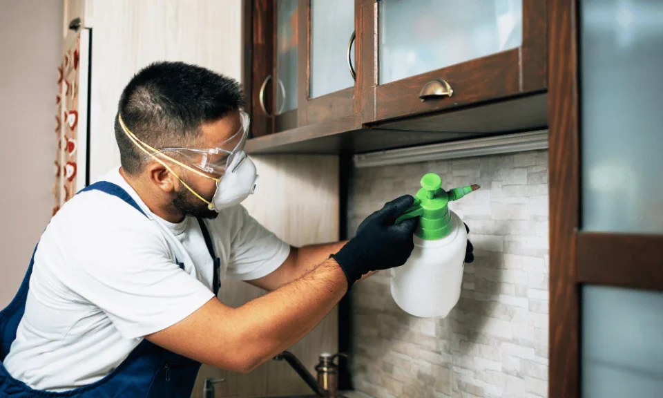 Pest Inspection